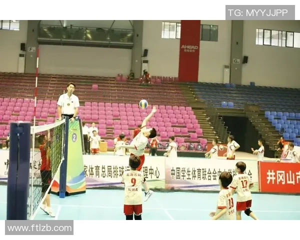 上海排球队在锦标赛中的节奏表现分析与总结