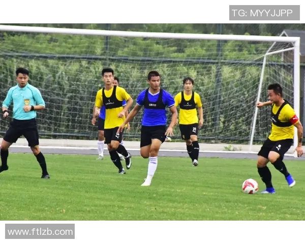 武汉排球队阵地战分析：优劣势与未来发展展望