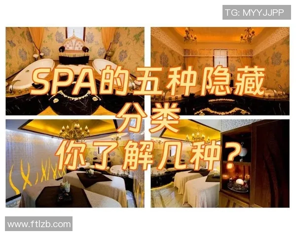 足球明星转会全攻略图解助你了解转场流程与技巧